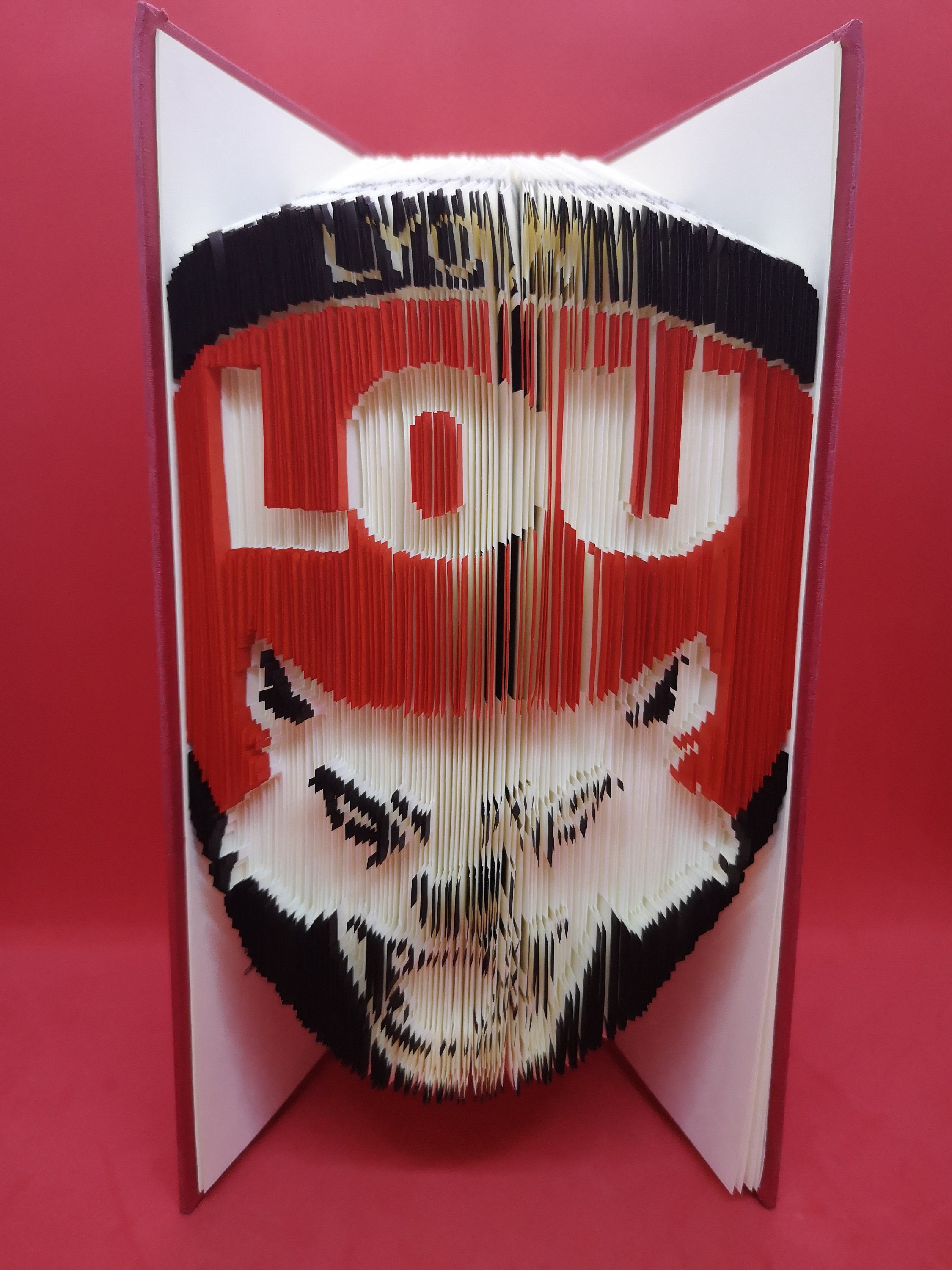 Lyon ou - Livre Plié Couleur Rugby