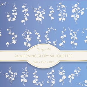 Morning Glory Silhouette Svg and Png Bundle, Morning Glory, Floral Svg, Cricut, Cutfile, Flower Silhouettes, Birth Month Flower, Sublimation
