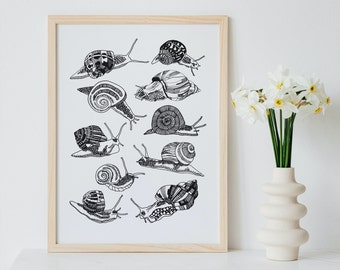 Snail Illustration Print A4 | Line Drawing Art, Snail Art Print, Cottagecore Wall Art, Snail Print, Snail Wall Art, Insect Art Print
