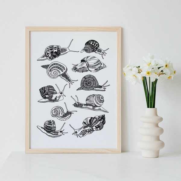 Snail Illustration Print A4 | Line Drawing Art, Snail Art Print, Cottagecore Wall Art, Snail Print, Snail Wall Art, Insect Art Print