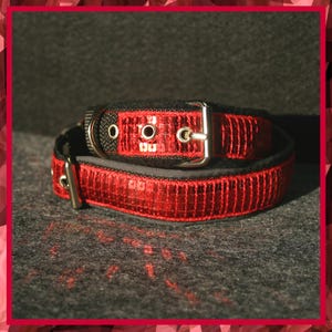 Könnte beinhalten: Ein rotes, mit Pailletten besetztes Hundehalsband mit schwarzem Stoffrücken und einer silbernen Schnalle.