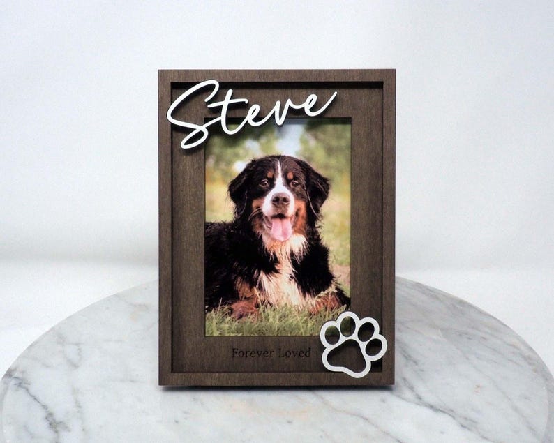 May include: A dark brown wooden picture frame featuring a photograph of a Bernese Mountain Dog. The name Steve is written in white script at the top, and a white paw print icon is at the bottom right with the text Forever Loved.