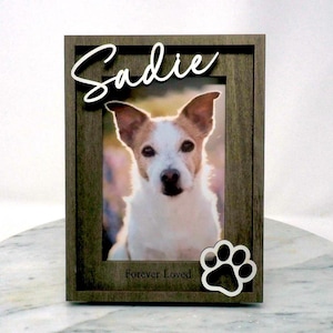 May include: A rectangular dark grey wooden picture frame containing a photograph of a white and brown dog. The name Sadie is written in white script at the top, and the words Forever Loved are printed below with a white paw print icon.