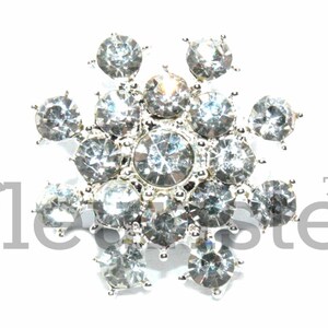 May include: A silver snowflake-shaped brooch with clear rhinestones.