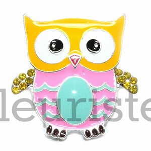 Pode incluir: Broche colorido em forma de coruja com cabeça amarela, corpo rosa e barriga turquesa. A coruja tem olhos grandes e é adornada com strass amarelos nas asas. O broche tem a palavra "fleuriste" no canto inferior esquerdo.