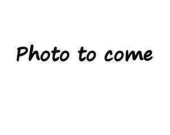 Full Size 36 3 Tine Saw Tooth stained Zen Garden Rake | Etsy