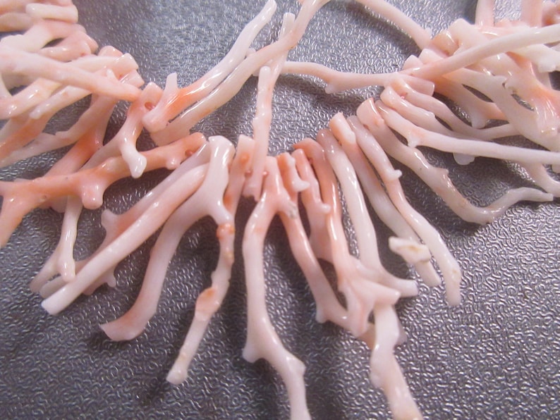 Mediterranean Light Pink White Coral Graduated Branches Beads 200pcs