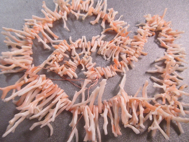 Mediterranean Light Pink White Coral Graduated Branches Beads 200pcs