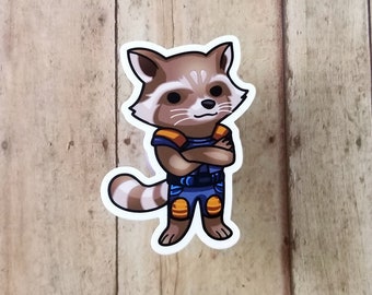 Galaxy Racoon Vinyl Sticker Decal