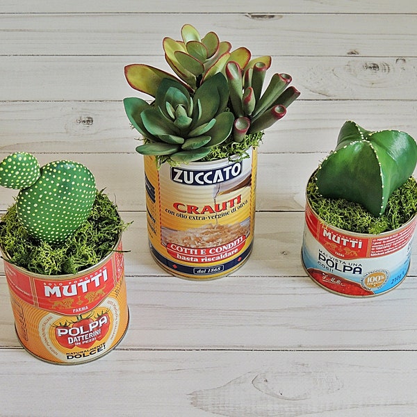Fake Succulents, Set of 3 Cacti, Handmade Plants for Home Decor