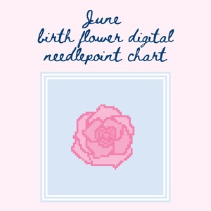 Borduurpatronen | Geboortemaand juni bloem borduurpatronen | Digitale borduurpatronen | Bloemnaaldpunt