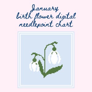 Borduurpatronen | Geboortemaand januari bloem borduurpatronen | Digitale borduurpatronen | Bloemnaaldpunt