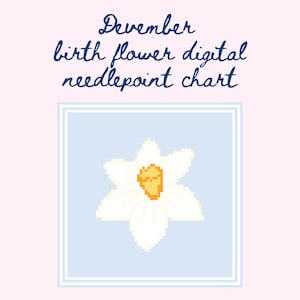 Borduurpatronen | Geboortemaand december bloem borduurpatronen | Digitale borduurpatronen | Bloemnaaldpunt