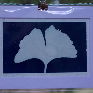 5&quot; x 7&quot; Original Cyanotype