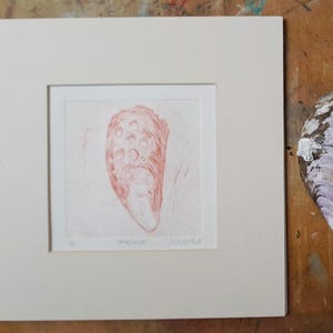 Original drypoint Etching 'Mollusca'