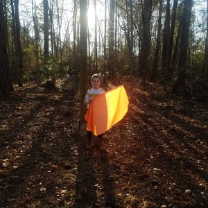 May include: A child in a striped shirt and boots holds an orange rectangular object in a sunlit forest. The trees are tall and bare, with sunlight streaming through the branches, casting long shadows on the forest floor.