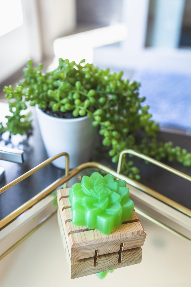 Succulent Soap Bar Silicone Soap Mold Soap making supplies Etsy