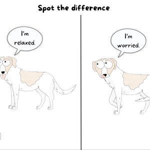 Puede incluir: Una ilustraci&oacute;n de dibujos animados en blanco y negro de un perro con un globo de di&aacute;logo sobre su cabeza. El globo de di&aacute;logo dice "Estoy relajado." El perro de la derecha tiene un globo de di&aacute;logo que dice "Estoy preocupado." El perro de la derecha tiene la cola metida entre las piernas.