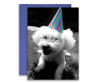 May include: A white dog wearing a colorful striped party hat. The dog is sitting in a grassy area with a black and white background.
