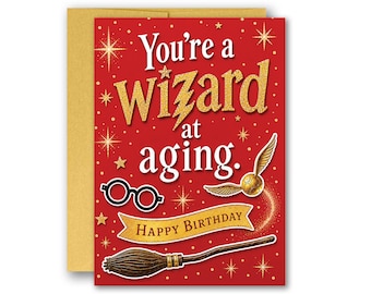 You're a Wizard at Aging Harry Funny Birthday Greeting Card 5x7 inches w/Envelope