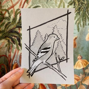 Goldfinch Female Print