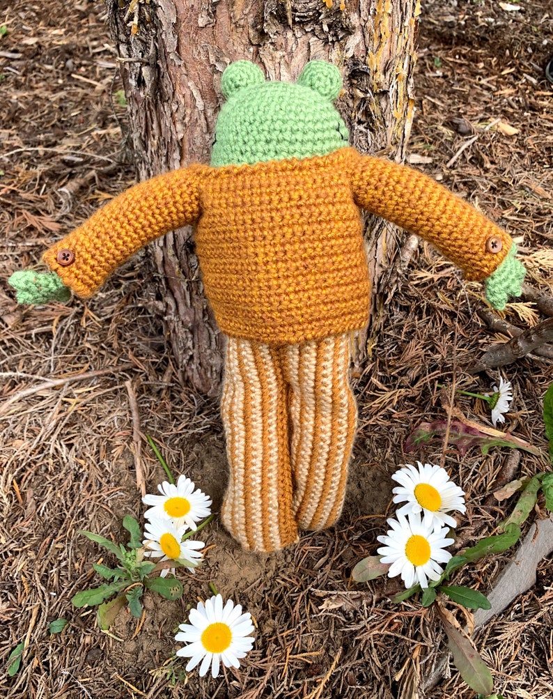 PATTERN ONLY Frog Of Frog And Toad Crochet Etsy