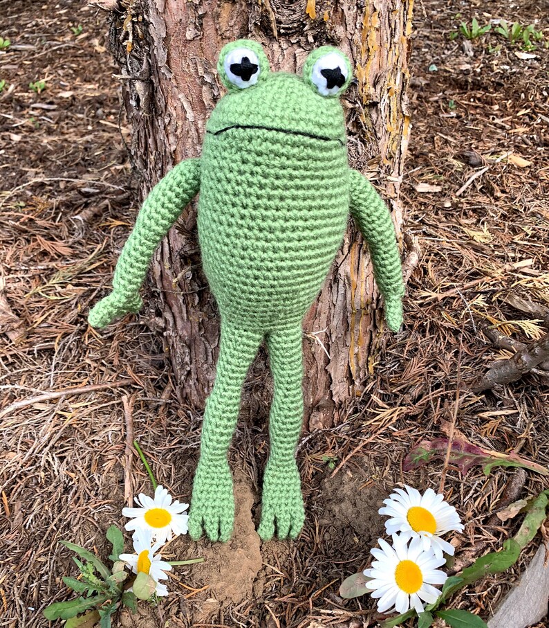 PATTERN ONLY Frog of frog and Toad Crochet Etsy