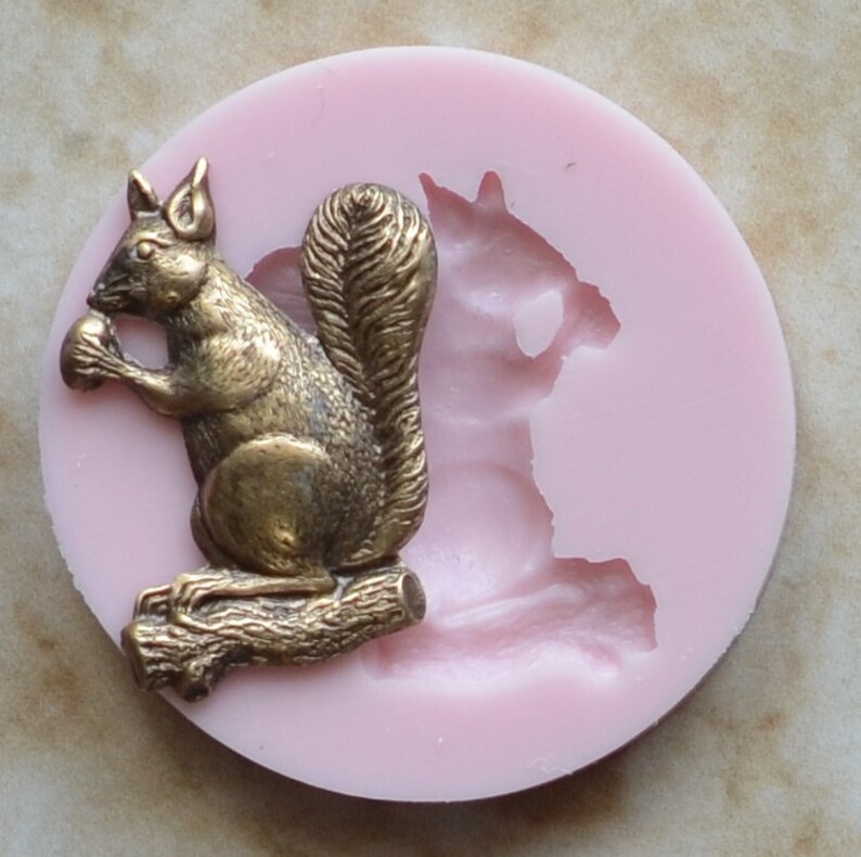 Squirrel Silicone Mold Silcone Molds Cake Candy Clay Etsy
