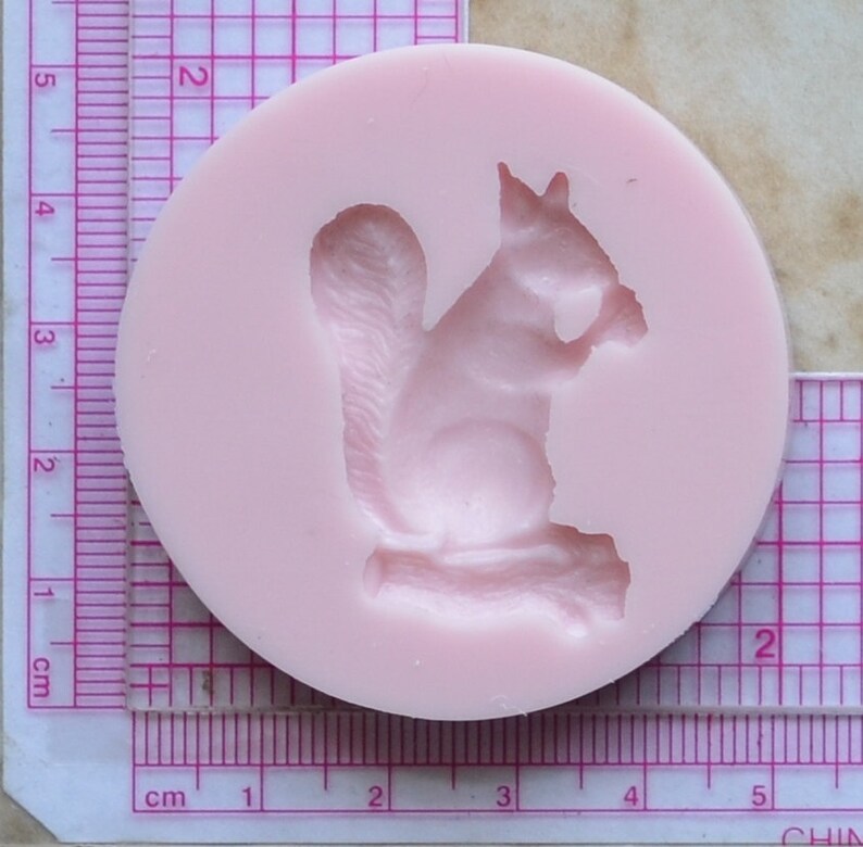 Squirrel Silicone Mold Silcone Molds Cake Candy Clay Etsy