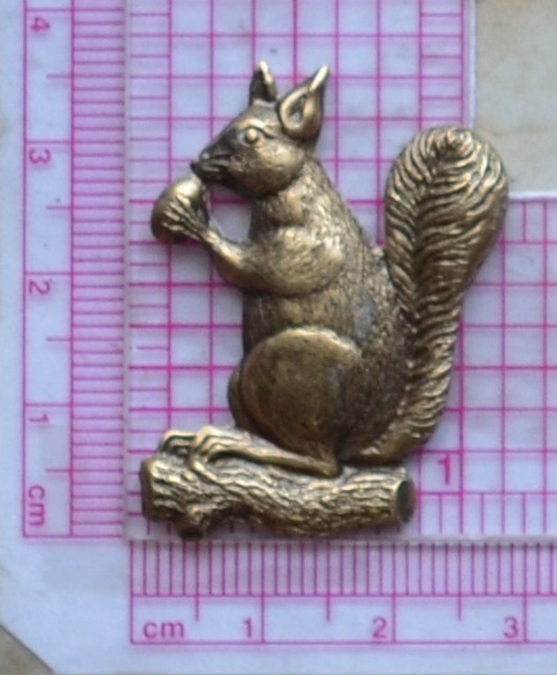 Squirrel Silicone Mold Silcone Molds Cake Candy Clay Etsy