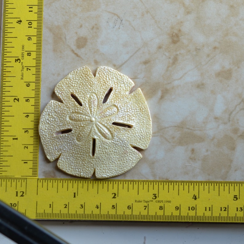 Sand Dollar Sand Dollar Mold Clay Sand Dollar Starfish Etsy