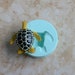 see more listings in the TURTLES/STARFISH section