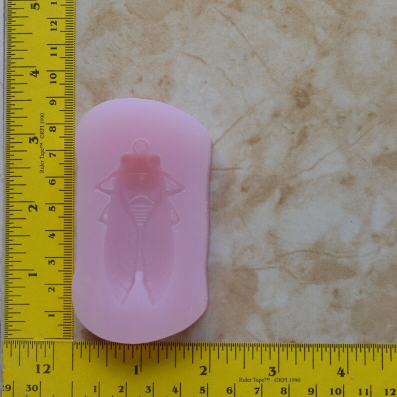 CICADA Silicone Mold, Insects, Resin mold, Clay mold, Epoxy molds, food grade, Pests, Termites, Chocolate molds, creatures A384 image 3