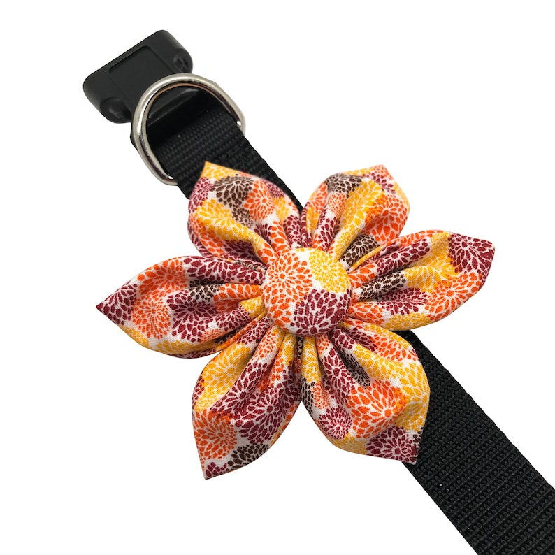 Dog Collar Flower Etsy