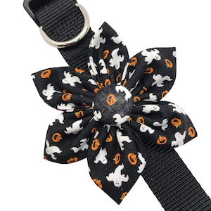 Dog Collar Flower