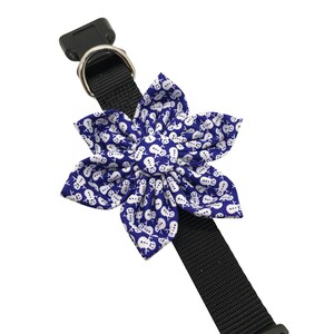 Dog Collar Flower