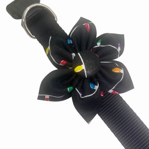Dog Collar Flower