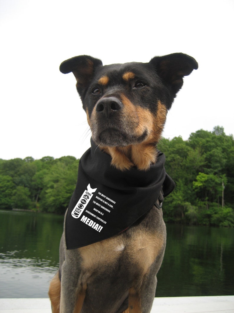Anarchy Punk Human Rights Political Social Class War Liberation Authority Establishment Corporation Government Vegan Anti Media Bandanna