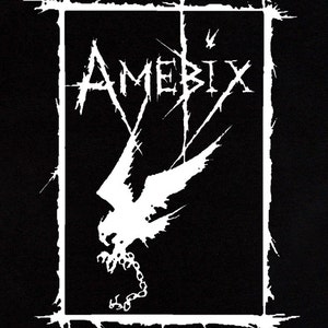 Amebix T Shirt Nausea Anti Cimex Discharge Doom Wolfbrigade Warcollapse Skitsystem Disrupt Aus-rotten Avskum Wolfpack Crust Punk Anarcho image 2