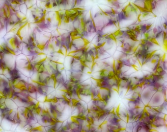 Small Festive Fused Glass Dish in pink, yellow and purple -7.5” diameter