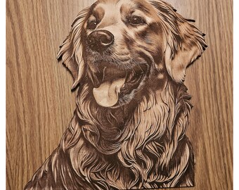 3D Illusion Golden Retriever