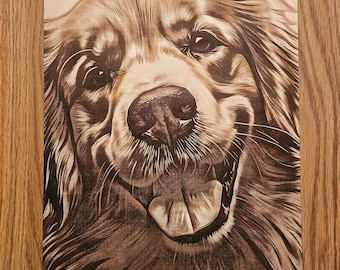3D illusion Golden Retriever