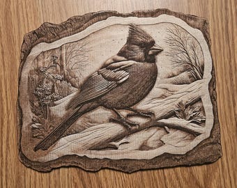 3D Illusion Cardinal