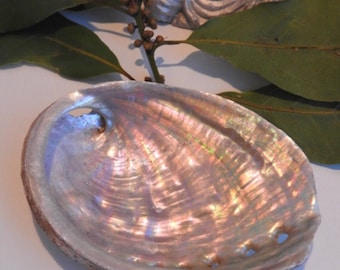 Natural abalone shell - for fumigating rituals - smudging tray - jewelery cup - rings - shamanism - paganism - wiccan - white magic witch