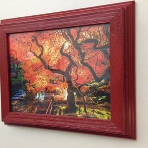 May include: A framed print featuring a vibrant autumn landscape with a large tree and red leaves. The frame is a deep red color, adding a bold contrast to the colorful scene. The artwork is displayed on a white wall.