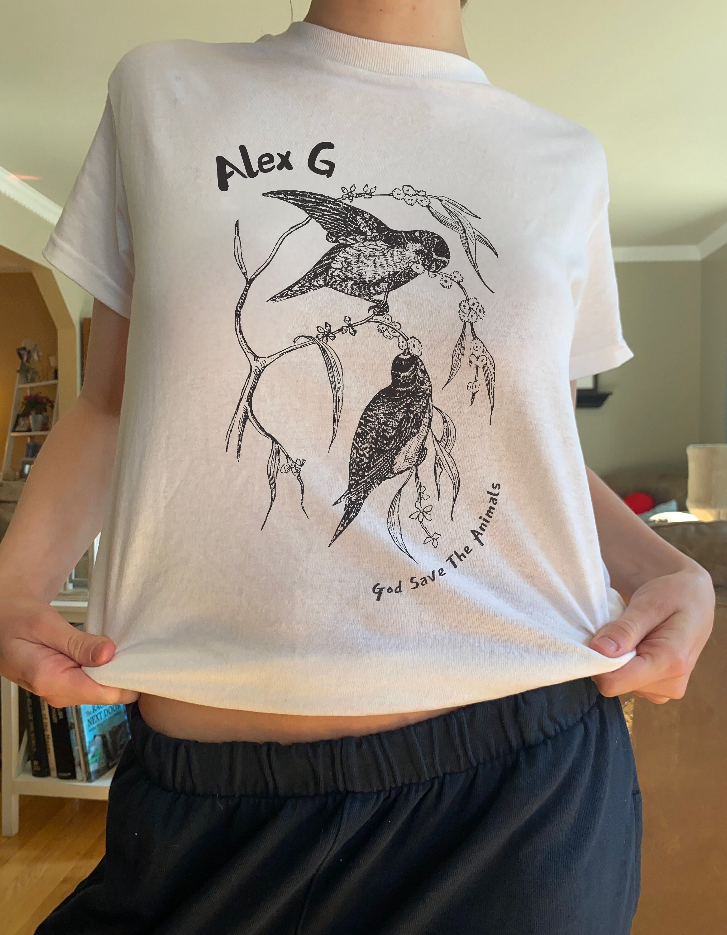 Alex G Shirt- God Save the Animals Birds- Alex G Merch- Minimalist Line Art Band Tee- Alex G Hoodie- Unisex Heavy Cotton Tee