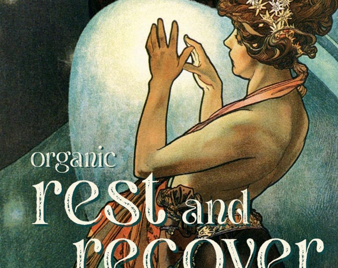 Rest & Recover - Organic Herbal Sleep and Recovery Tea - Post-Workout Wind Down Blend
