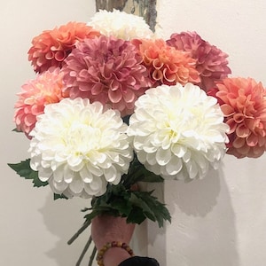 Può includere: Un mazzo di dalie rosa e bianche. I fiori sono disposti in una mano che tiene gli steli.
