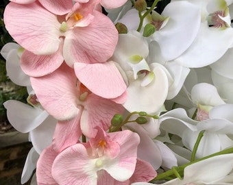 Latex real to look at and touch, white delphinium orchid