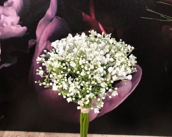 May include: A bouquet of white baby's breath flowers tied together with green ribbon.